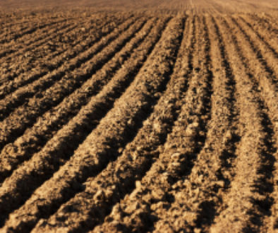Field Furrows