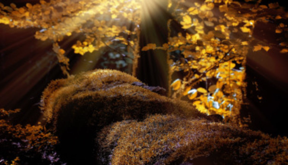 landscape-1042468_1920
